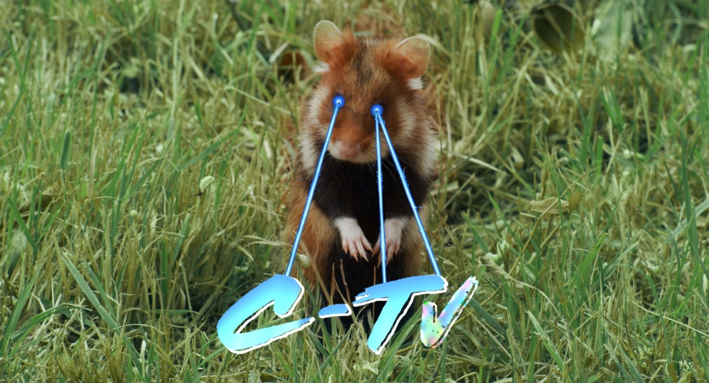 Ein Foto eines Hamsters auf einer Wiese, seine Augen lasern eine neonblaue Schrift mit dem Text "C-TV" auf den Boden.